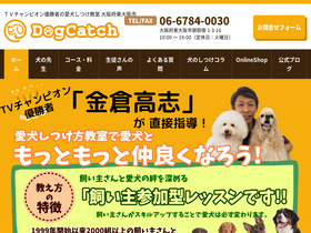 'dogcatch.net' screenshot
