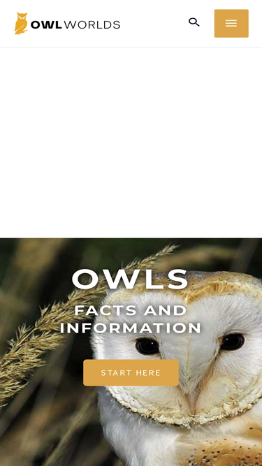 owlworlds.com