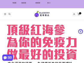 藍莓優品 Blueberry Creative Studio(LLC) website screenshot