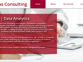 paras-consulting.com