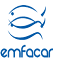 emfacar.com