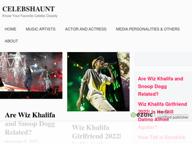 'celebshaunt.com' screenshot