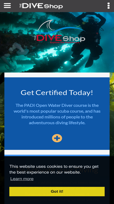 diveshopscuba.com