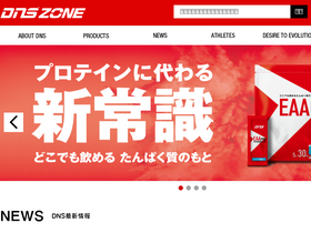 'dnszone.jp' screenshot