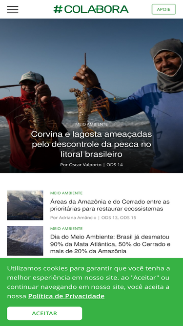 projetocolabora.com.br