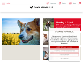 'dkk.dk' screenshot