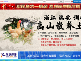 'ruian.com' screenshot