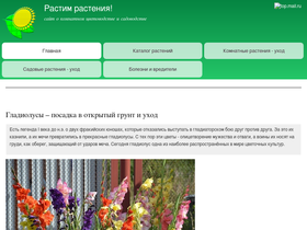 'myflo.ru' screenshot