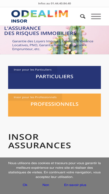 insor.com
