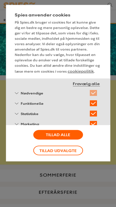 spies.dk