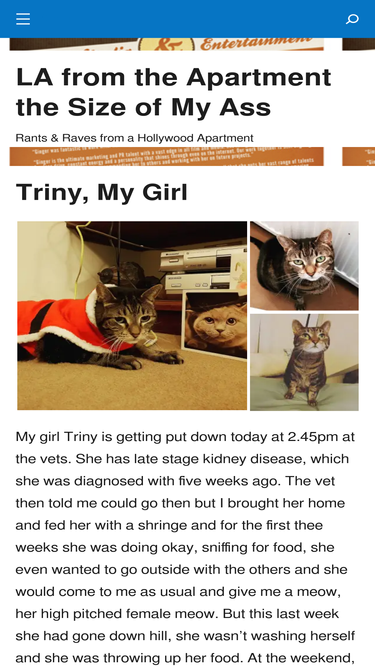 gingerliu.wordpress.com