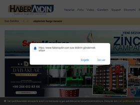 'haberaydin.com' screenshot