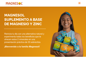 'magnesol.pe' screenshot