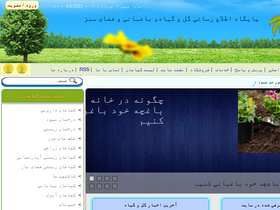 'nargil.ir' screenshot