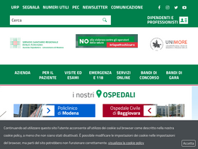 'aou.mo.it' screenshot