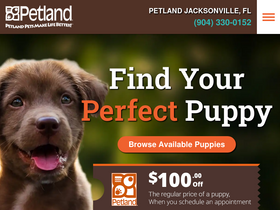 jaxpetland.com