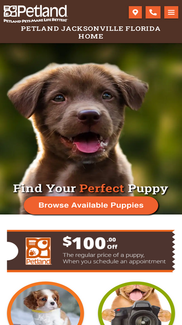 jaxpetland.com