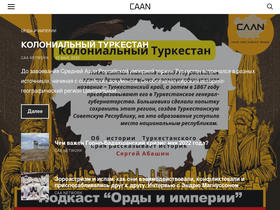 'caa-network.org' screenshot