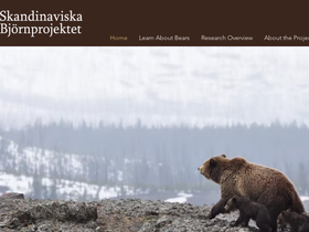 bearproject.info