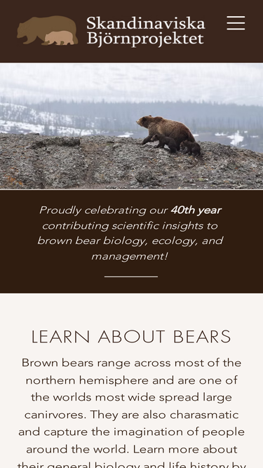 bearproject.info