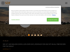 'sdfgroup.com' screenshot