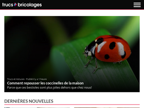 'trucsetbricolages.com' screenshot