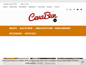 'cevabun.ro' screenshot