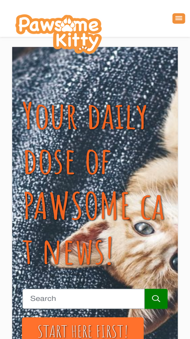 pawsomekitty.com