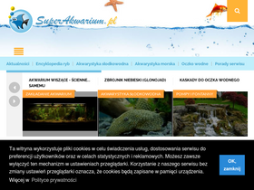 'superakwarium.pl' screenshot