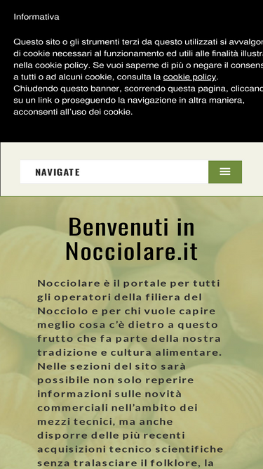 nocciolare.it