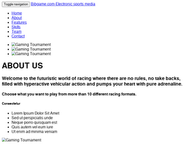 'bibgame.com' screenshot