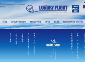737flight.com