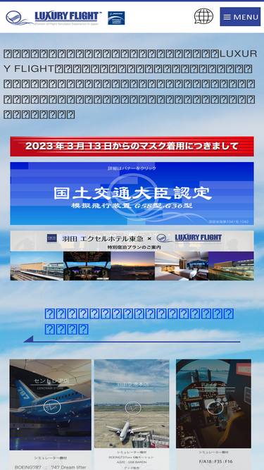 737flight.com