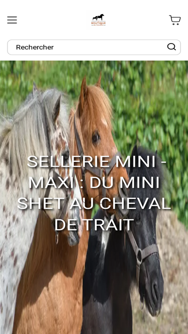 laboutiqueducavalier.com