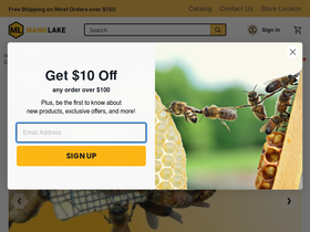 'mannlakeltd.com' screenshot