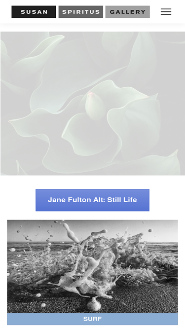 susanspiritusgallery.com