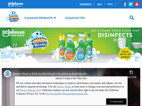 scrubbingbubbles.com