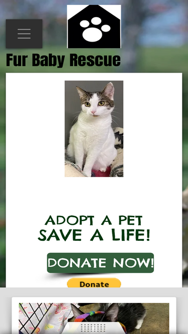 furbabyrescue.org