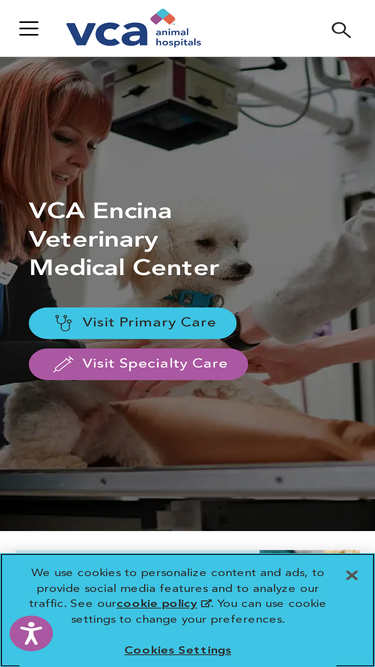 encinavet.com