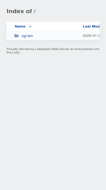 wnsunwired.com
