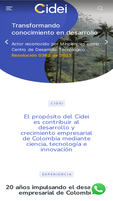 cidei.net