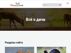 'dikoved.ru' screenshot
