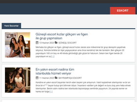 'istanbuleskort.net' screenshot