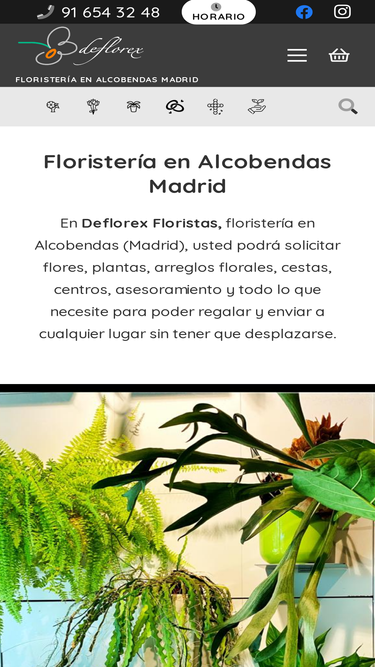 deflorex.com