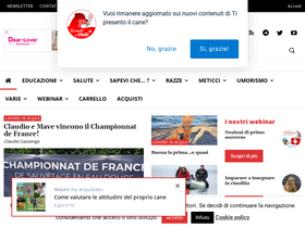 'tipresentoilcane.com' screenshot