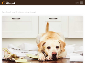 'fajnyzwierzak.pl' screenshot