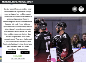 'liguemagnus.com' screenshot