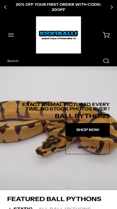 kicksballs.com