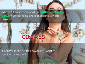 'wheelmillionaire.com' screenshot