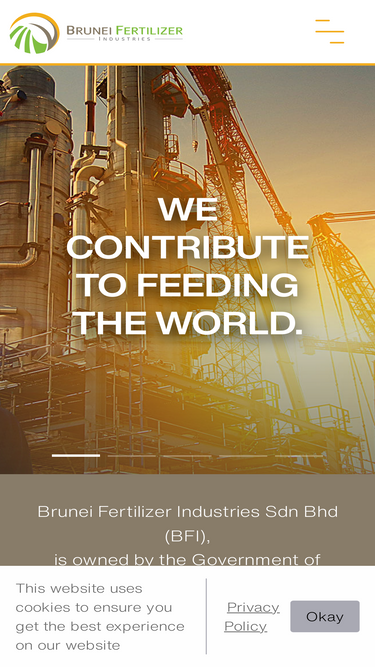 bfi.com.bn